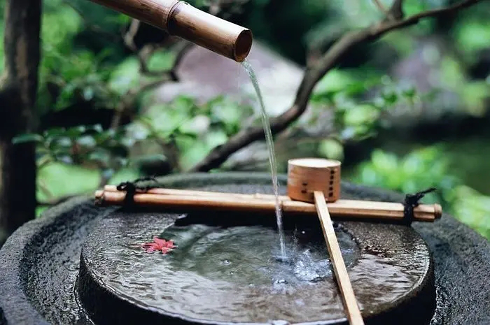 虹景木陽臺-驚鹿，蹲踞